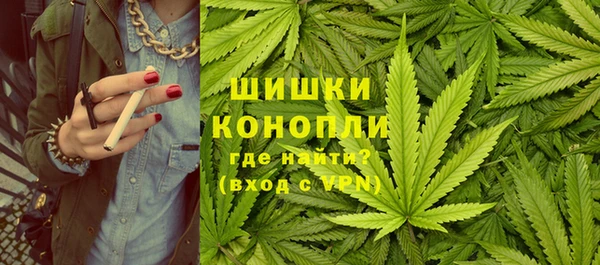 гидра Алексеевка