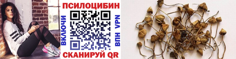 Псилоцибиновые грибы ЛСД OMG tor Зубцов дарнет шоп